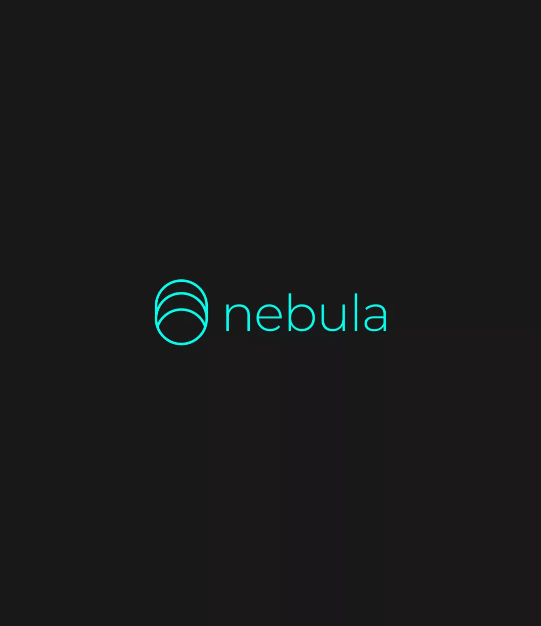 A image showcasing the brand logo and color of the project