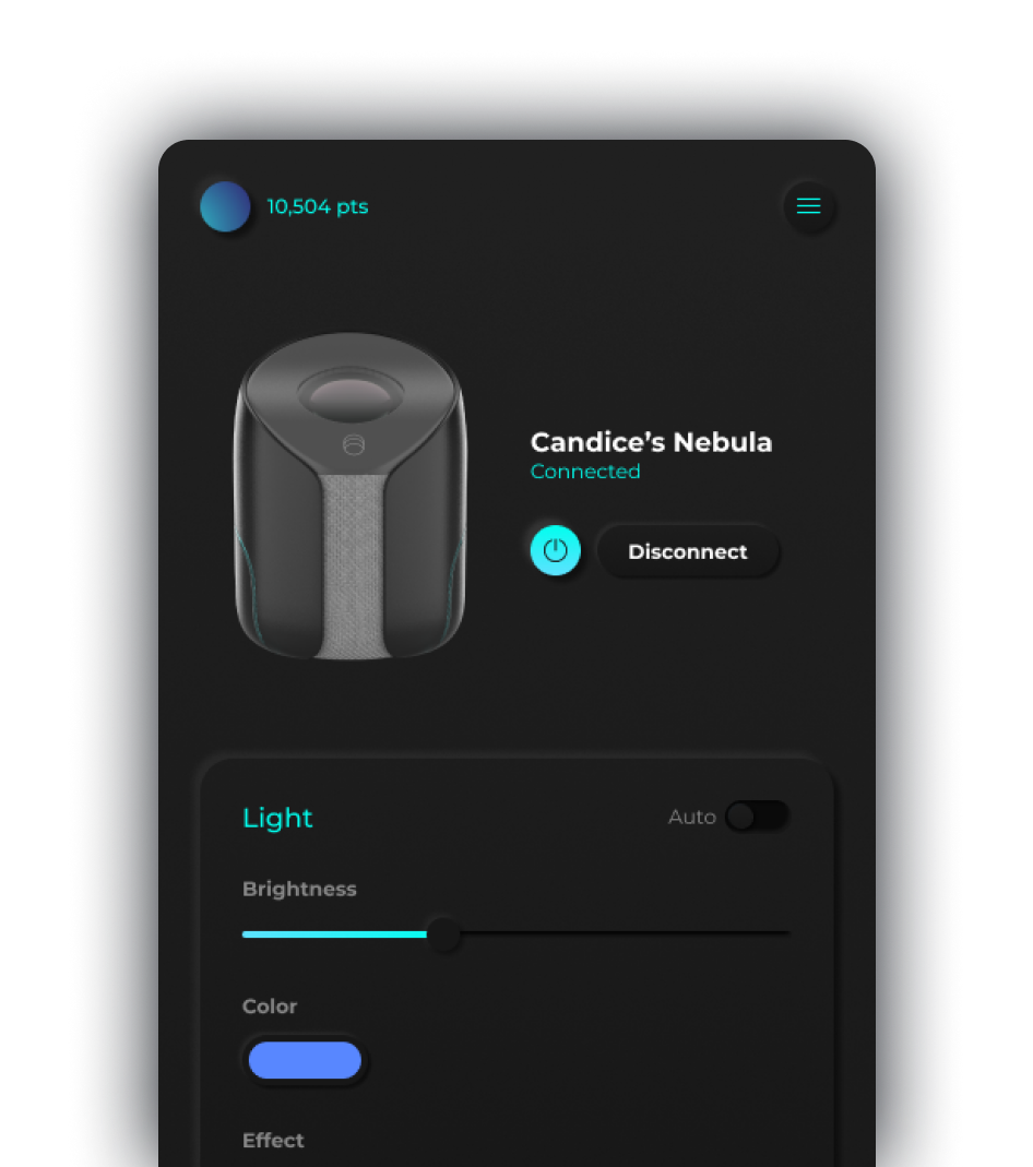 A close up screenshot of the landing page for the app